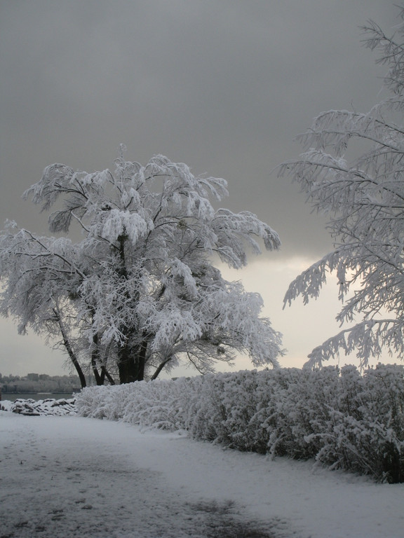 Winter am See _26__jpg-1292190404