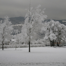 Winter am See _28__jpg-1292190431
