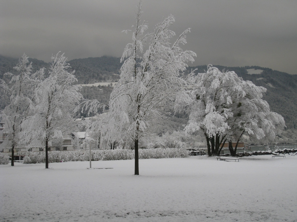 Winter am See _28__jpg-1292190431