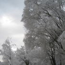 Winter am See _29__jpg-1292190448