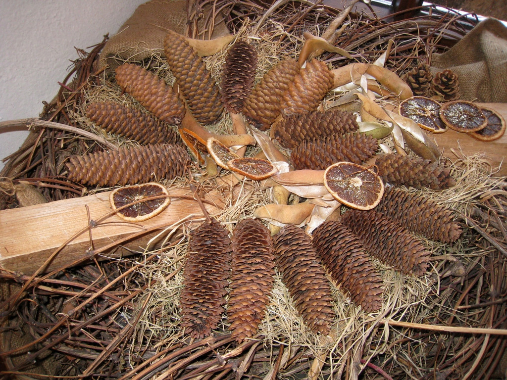 Schloss Hofener Advent 2009 _3__jpg-1292194222