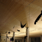 IMG_4834_jpg-1292229282