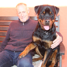 Rottweiler in Vorarlberg 