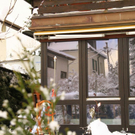 normal_13122010brandzwieselwegmwaktivnews_09.jpg
