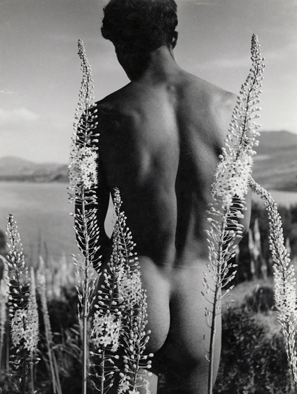 Herbert List_ Araber mit Steppenkerzen_ Rueckenakt_ 1935 __ Herbert List-Nachlass_ Hamburg und Muenchner Stadtmuseum.jpg