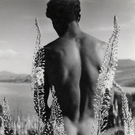 Herbert List_ Araber mit Steppenkerzen_ Rueckenakt_ 1935 __ Herbert List-Nachlass_ Hamburg und Muenchner Stadtmuseum.jpg