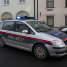 normal_14122010raubkaibalinzthaktivnews005.jpg