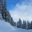 Schneebilder: Skigebiet Damüls