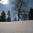 Winter-Impressionen