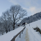 037_bearbeitet-1.jpg