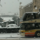 Andr__ 370.jpg