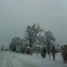 photo4.jpg