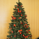 DSC03825_JPG-1292413515