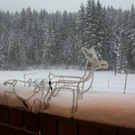 Bilder aus Ebenau
