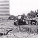 Alte Bilder_0003_jpg-1292426207