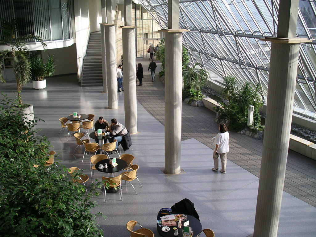Cafeteria_JPG-1292426318