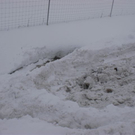 15122010lkwunfallxraktivnews_20_15_.jpg