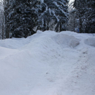 normal_16122010strubklammgesperrtfdaktivnews_03.jpg