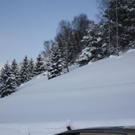 normal_16122010strubklammgesperrtfdaktivnews_10.jpg