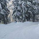 normal_16122010strubklammgesperrtfdaktivnews_12.jpg