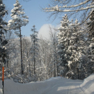 normal_16122010strubklammgesperrtfdaktivnews_13.jpg