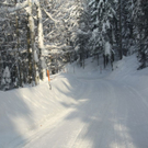 normal_16122010strubklammgesperrtfdaktivnews_14.jpg