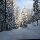 normal_16122010strubklammgesperrtfdaktivnews_15.jpg