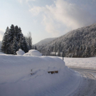 normal_16122010strubklammgesperrtfdaktivnews_18.jpg