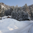 normal_16122010strubklammgesperrtfdaktivnews_19.jpg