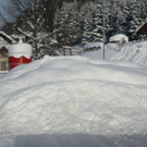 normal_16122010strubklammgesperrtfdaktivnews_20.jpg