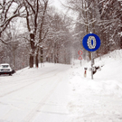Aktuelle Schneebilder aus Bregenz und Umgebung 