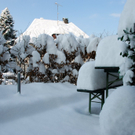 DSC_1616.JPG