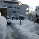 DSC_1629.JPG