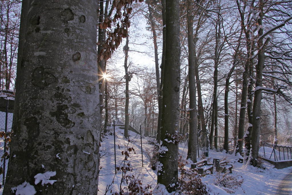 KOE_Wildpark Winter2010 6_jpg-1292511180