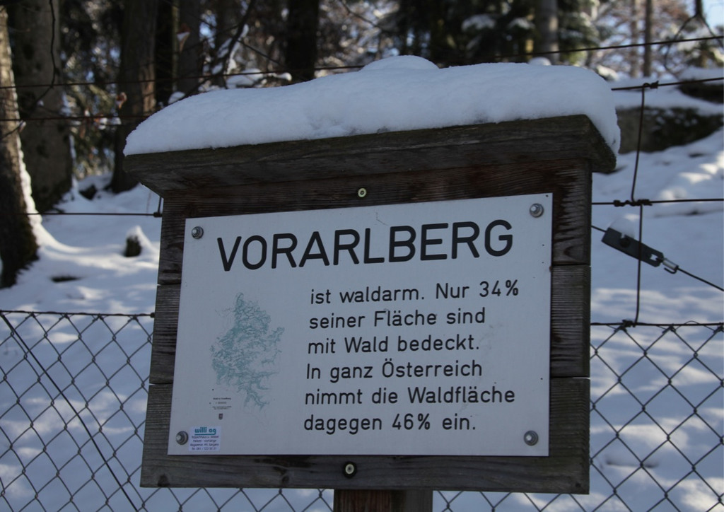 KOE_Wildpark Winter2010 7_jpg-1292511185