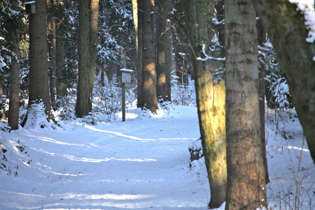 KOE_Wildpark Winter2010 8_jpg-1292511193