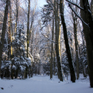 KOE_Wildpark Winter2010 9_jpg-1292511205