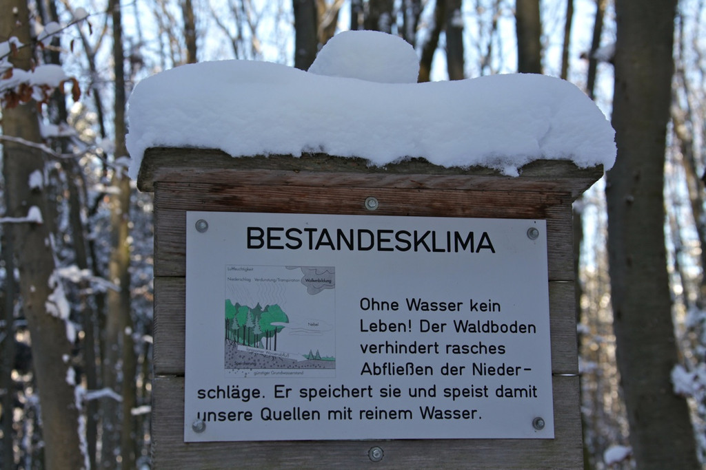 KOE_Wildpark Winter2010 11_jpg-1292511218