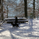 KOE_Wildpark Winter2010 17_jpg-1292511275