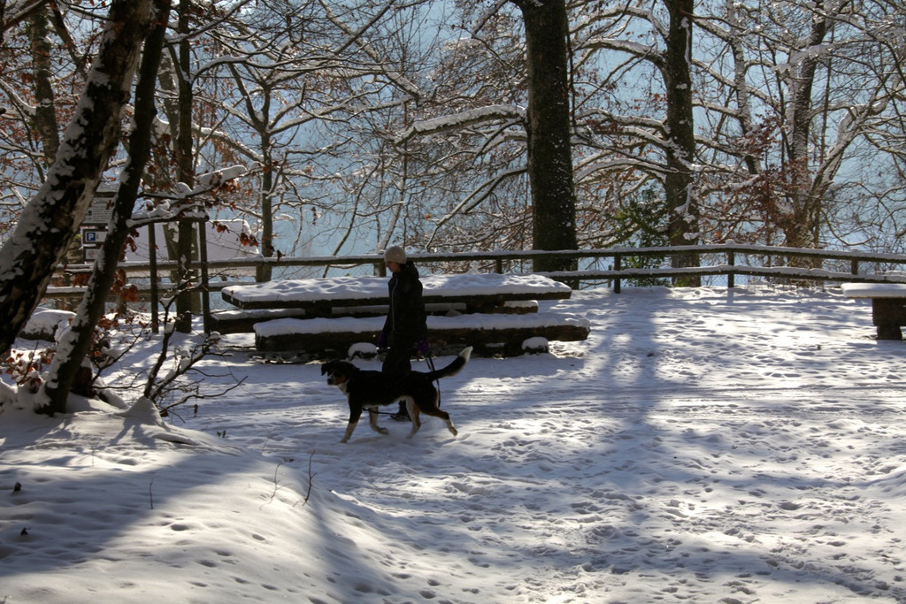 KOE_Wildpark Winter2010 17_jpg-1292511275