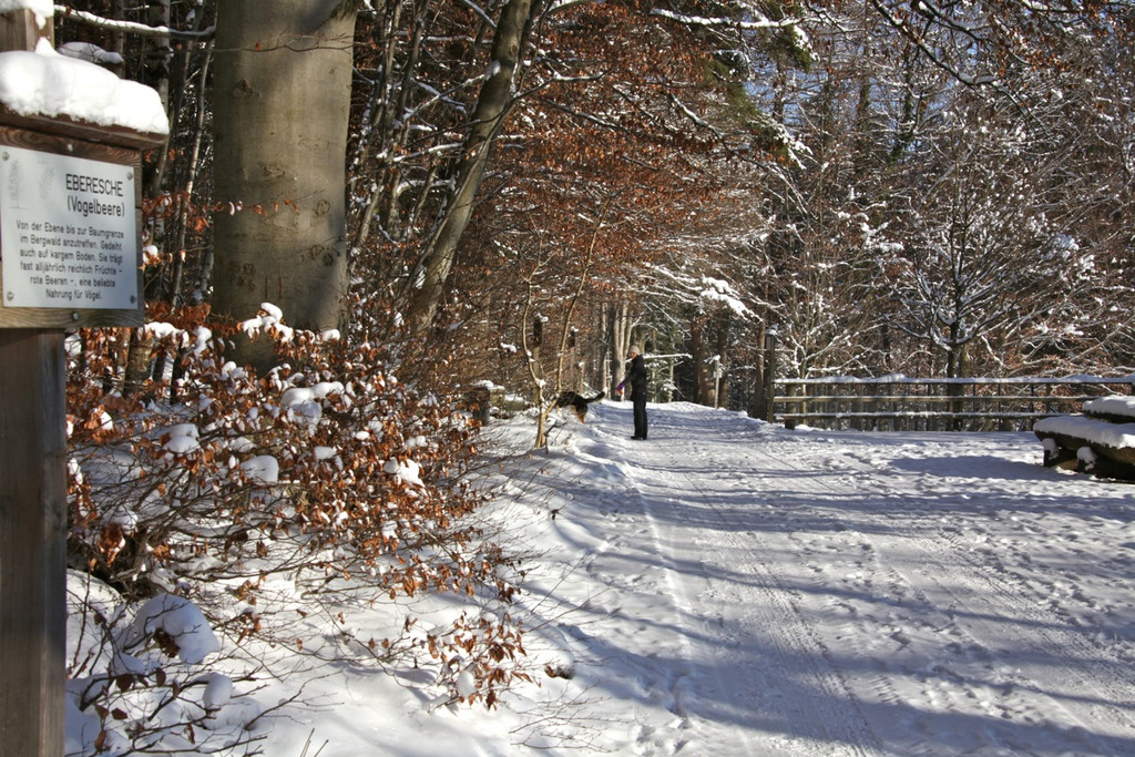 KOE_Wildpark Winter2010 18_jpg-1292511287