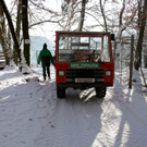 KOE_Wildpark Winter2010 22_jpg-1292511318