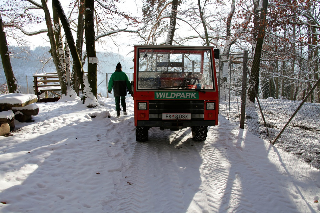 KOE_Wildpark Winter2010 22_jpg-1292511318