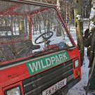 KOE_Wildpark Winter2010 30_jpg-1292511385