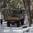 KOE_Wildpark Winter2010 34_jpg-1292511407