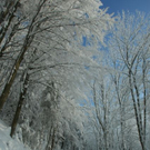 normal_16122010traumlandschaftwm2aktivnews_02.jpg