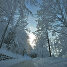 normal_16122010traumlandschaftwm2aktivnews_03.jpg