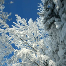 normal_16122010traumlandschaftwm2aktivnews_05.jpg