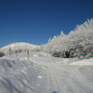 normal_16122010traumlandschaftwm2aktivnews_06.jpg