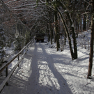 KOE_Wildpark Winter2010 43_jpg-1292511465